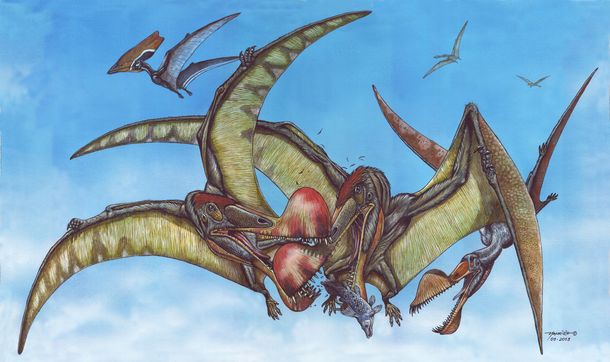 Pterodáctilo Pterossauros Animal Pré Histórico Figura Personagem