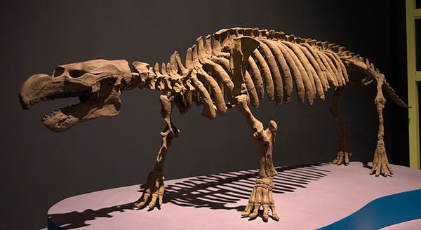 Cientistas descobrem dinossauro gigante com cauda de coração - Revista  Galileu