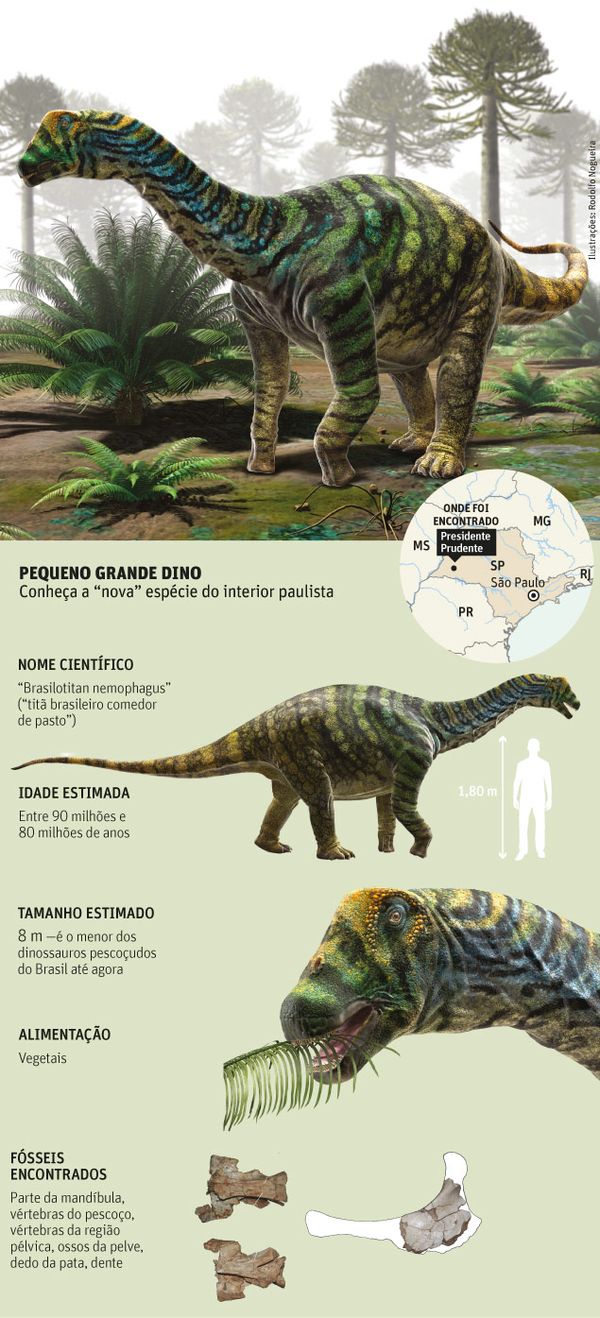 Dentes de Dinossauro, Dino Notícias